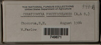 Image Associated With the Occurence